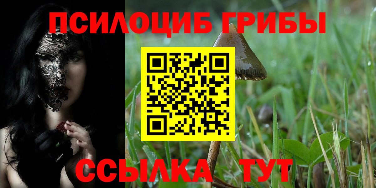Галлюциногенные грибы Cubensis Ступино