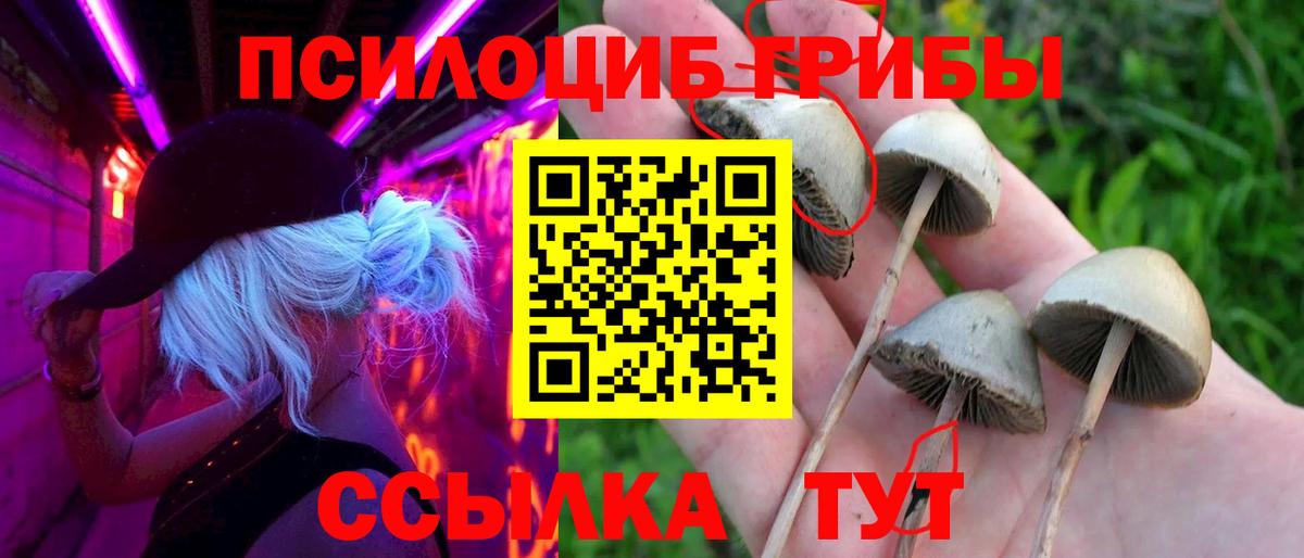 Псилоцибиновые грибы прущие грибы  Вход с VPN  Ступино  Псилоцибиновые грибы MAGIC MUSHROOMS 