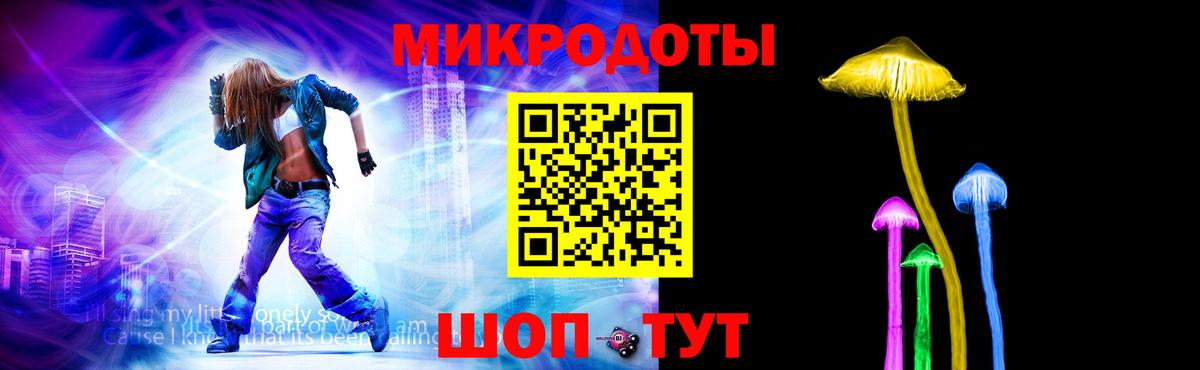 ГАШ Ступино