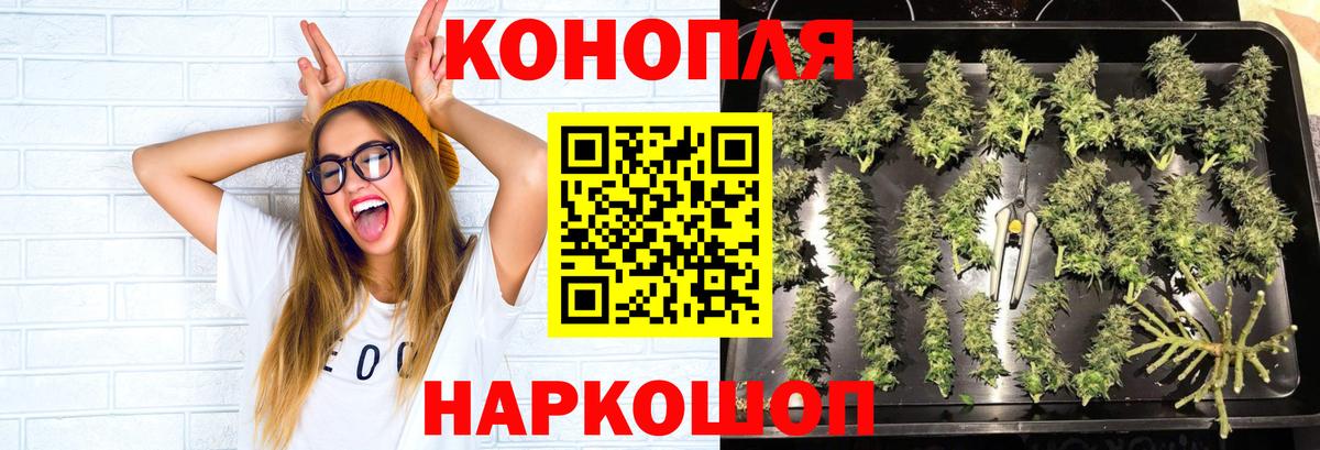 Каннабис Ganja  Канабис ГИДРОПОН  Ступино  Вход с VPN  Конопля OG Kush  Бошки Шишки Amnesia 